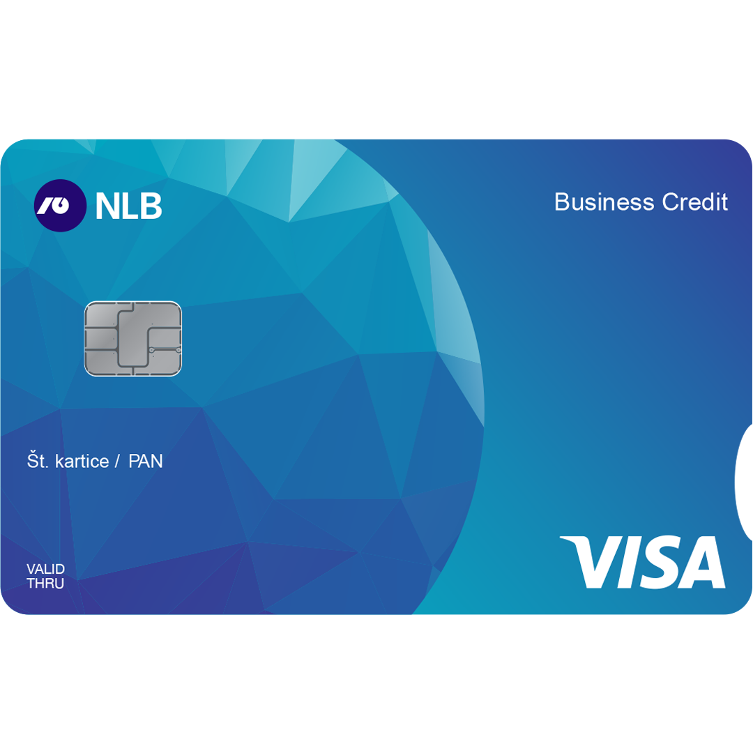 Visa Business кредитна картичка